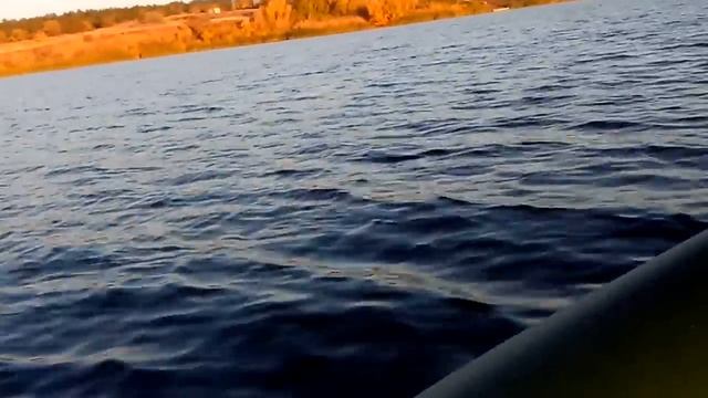 Меркури 2.5 21-22 кмч