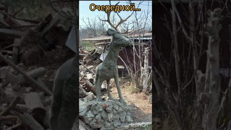 Заготовка рогов временно прекращена