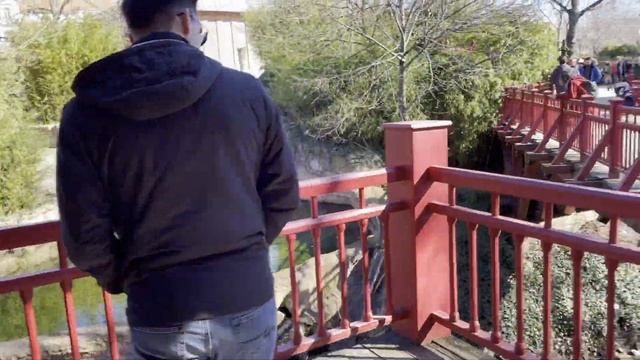 Vlog #37 Зоопарк Ляйпцига | ZOO Leipzig | День рождения Марианны в Германии | Поздние Переселенцы смотреть онлайн