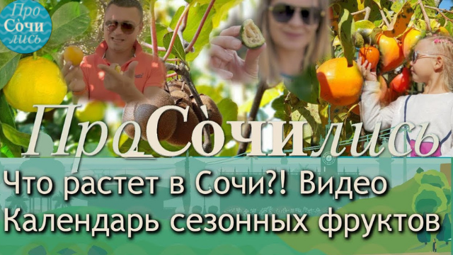 Какие фрукты растут в СОЧИ ➤Календарь сезонных фруктов ➤Фруктовые деревья Сочи ?Просочились