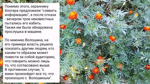 Украинский блогер, который заговорил о прекращении войны