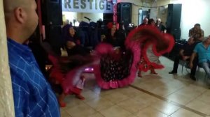 Цыганский танец "Ежедневно меняется мода",  Cover.