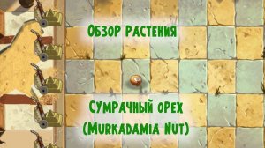 Обзор Сумрачного ореха (Murkadamia Nut), растение из Plants vs Zombies 2