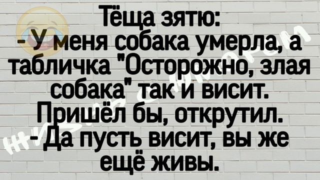 Сборник Супер Смешных Новых Жизненных Анекдотов! Юмор! Позитив! Приколы! Смех! Угар!