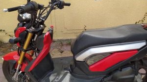 Honda Zoomer-X 110CC | Sakura Enterprises