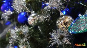 Ведущий Седякин Дмитрий | ТЦ Манго "Нам один год"