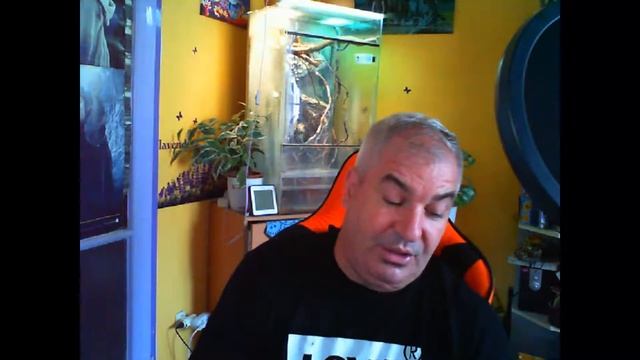 ASUS Strix DSP Magyar TESZT смотреть онлайн