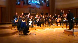 ORINOCO FLOW - Enya - Orkester Mandolina Ljubljana - dirigent Andrej Zupan