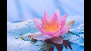 Защита от порчи, сглаза, психических вирусов, от стресса, негативных эмоций, очищение пищи и жилья!