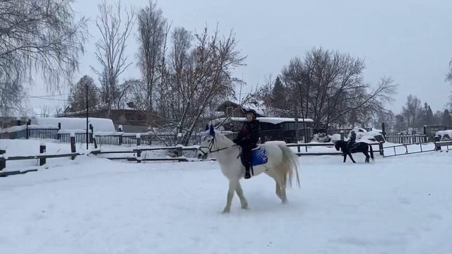 ГАЛОП на Ирбисе и Варгане!🤍🖤новая амуниция)) #ксквелес #конныйспорт #верховаяезда