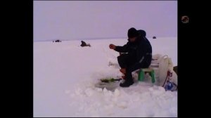 ТАРАНЬ. Кивок, поплавочная удочка. Fishing. Рыбалка зимой со льда в Ейском лимане