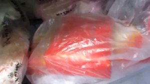 Морозильная камера Indesit-No Frost. Подробный обзор