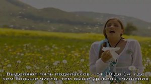 Какой выбрать очиститель воздуха?