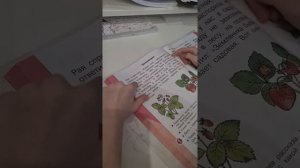 Чтение. Азбука 1 класс. РАС. 8.2.