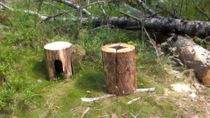 Огненная лесная мебель часть первая