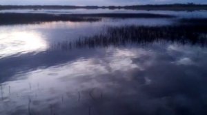 Рыбалка в Приобье