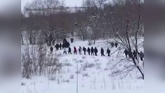 Найдено тело 15-летней школьницы Айлиты Ли - смотреть видео онлайн от quot;Лапа Лапу