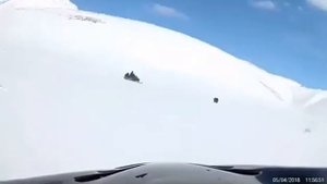 Медведь  разорвал человека