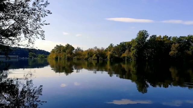 Звуки природы, птиц для вашего душевного спокойствия и умиротворения. Пение птиц для релаксации.