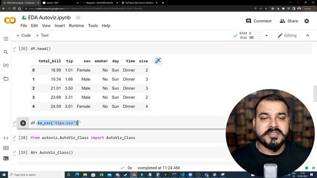 Automated EDA Using Autoviz Library With 3 Lines Of Code|Krish Naik Hindi смотреть онлайн