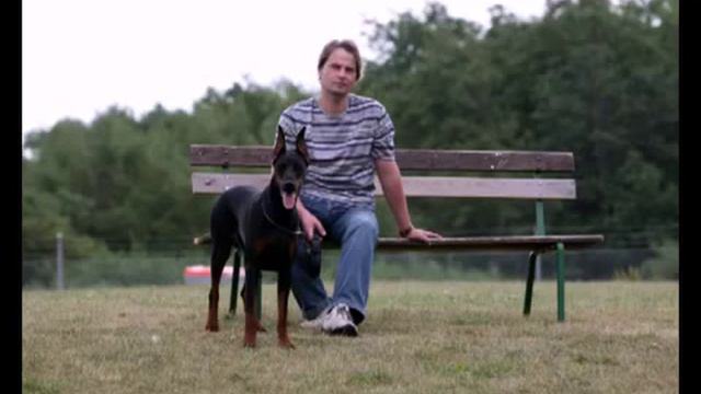 Dedicated to Solveig - Doberman with a human face. смотреть онлайн