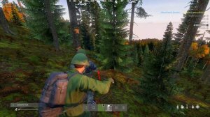DayZ
