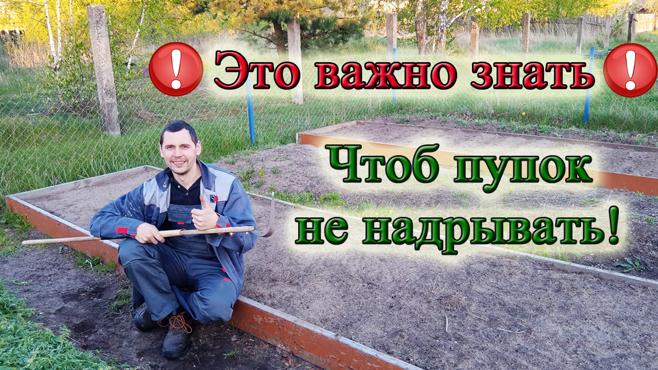 ПОЛЕЗНЫЕ ПРАВИЛА для облегчения труда в огороде! Из Столицы в Деревню!