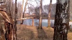 Рыболовный клуб ""Дикий карп ""