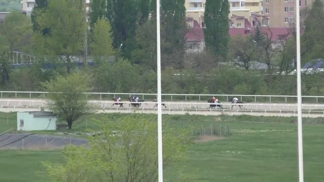 02.05.16.Пятигорск.Приз Открытия лош. ах. пор. 3-х лет-Аталык.