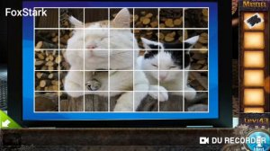 (43 lvl) Escape game 50 rooms 1 43 level