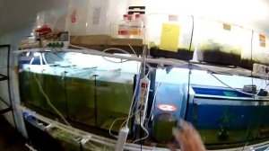 Стойка для аквариумов своими руками