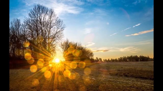 Наблюдения в природе смотреть онлайн