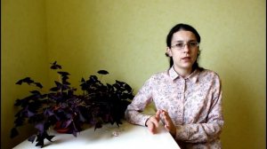 Стоит ли обрезать листья кислицы на зиму