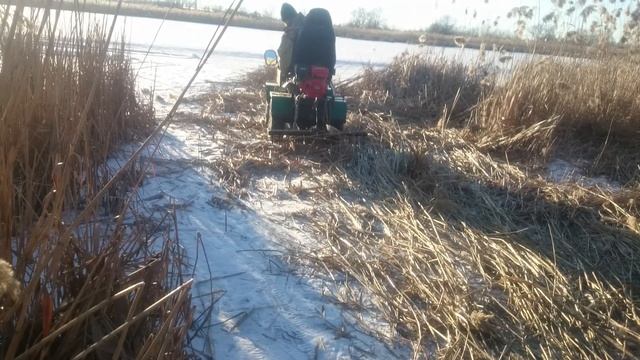 Согрибание камыша смотреть онлайн