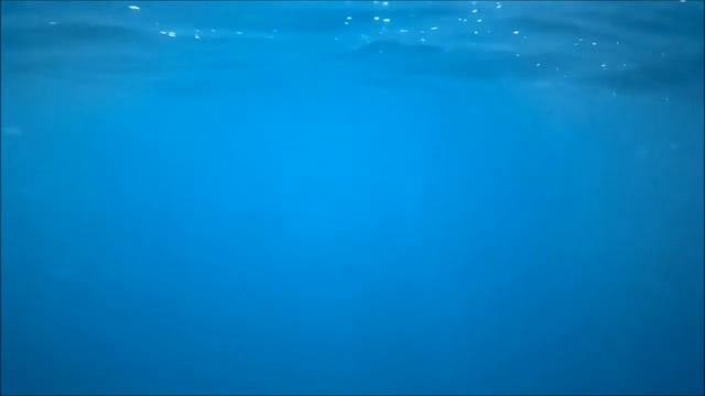 Одиночное мотопутешествие на Чёрное море в 2020г. Часть 3. Морская прогулка.