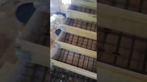 Металлический каркас и опалубка бетонной лестницы своими руками.