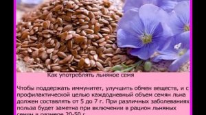 VVVV  Семена льна- польза, лечебные и полезные свойcтва