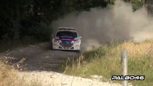 Best of Rally 2014 - Pure Sound [HD]