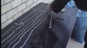 Бычий цепень после Коло Вады