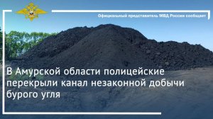 В Амурской области полицейские перекрыли канал незаконной добычи бурого угля