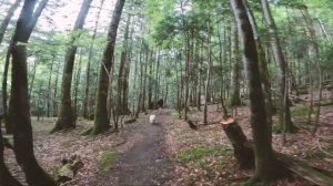 TREK - TOUR DU CANTAL: 6 JOURS EN AUTONOMIE SUR LE GR400 ?️