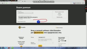 Как посмотреть трафик на модеме белаин есть решение