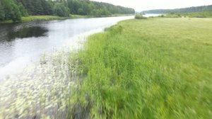 Курс на Онежские петроглифы! Бесов Нос - Каршево.