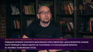 Парнокопытные и Непарнокопытные животные. Биология 7 класс. Отряды млекопитающих. Семейства. ЕГЭ