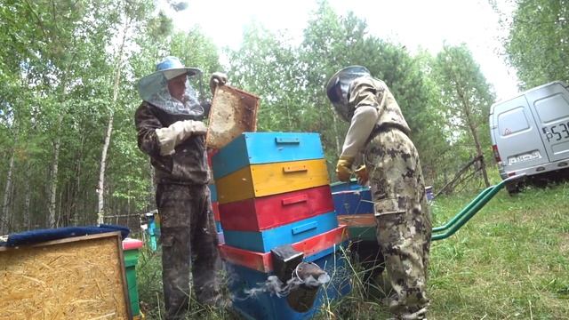 РАБОТАЕМ НА ТОЧКЕ, ОТБИРАЕМ МЁД У ПЧЁЛ БАКФАСТА И КАРНИКИ, РЕЗУЛЬТАТОМ ДОВОЛЬНЫ. смотреть онлайн
