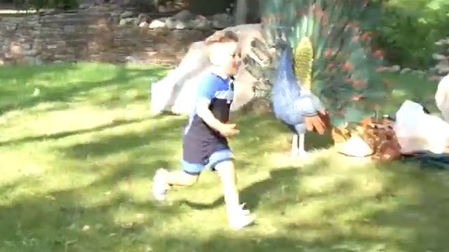 Яблочный спас, Этно-ресторан "Ё-моё", Донецк смотреть онлайн