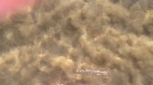 Салоу — морской курорт и туристический центр в Каталонии