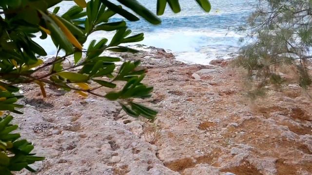 ЛЕНА ЛАНГЕ ВЕРНУЛАСЬ В РОССИЮ?/ МАЙКЛ РОМАНТИКА И ПОЦЕЛУЙ/ ОЛЬГА Б УЛЕТАЕТ 14 ЯНВАРЯ/ СЕСТРА БРУКМА смотреть онлайн