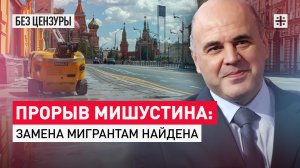 Прорыв Мишустина: Замена мигрантам найдена