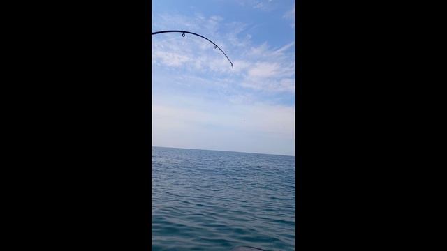 Очень удачный день рыбака. смотреть онлайн